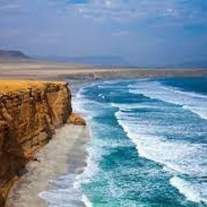 Meet your Posher, Roberto